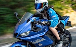 夜月直播免费观看视频下载大全